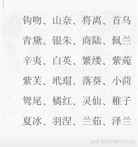 有什麼好聽的名字|取中文名字